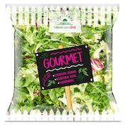 Ensalada gourmet Dia Vegecampo 150 g