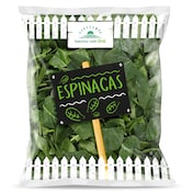 Espinacas Dia Vegecampo 250 g