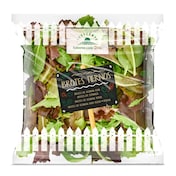 Brotes tiernos Dia Vegecampo 70 g