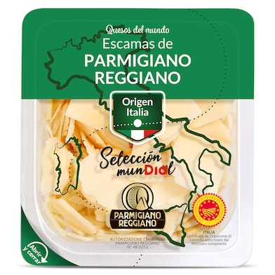 Queso Parmesano D.O.P. en escamas Dia Selección Mundial 100 g-0 Queso Parmesano D.O.P. en escamas Dia Selección Mundial 100 g-0