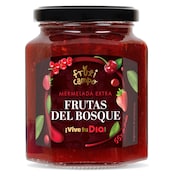Mermelada de frutas del bosque extra Dia Fruticampo 320 g