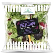 Ensalada mezclum Dia Vegecampo 150 g
