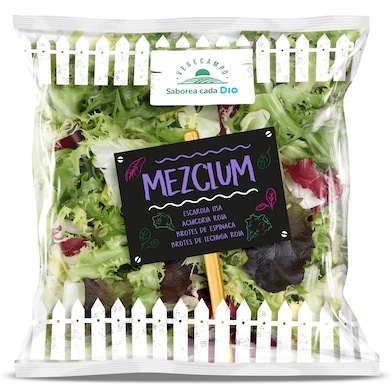 Ensalada mezclum Dia Vegecampo 150 g-0 Ensalada mezclum Dia Vegecampo 150 g-0