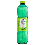 Refresco de té verde con aloe vera San Benedetto 1.5 L