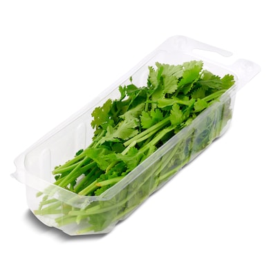 Cilantro 20 g-0