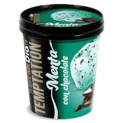 Tarrina de menta con chocolate Dia Temptation 350 g