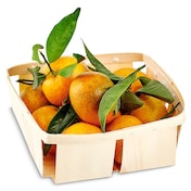 Mandarina hoja 1 Kg