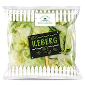 Lechuga iceberg lavada Dia Vegecampo 200 g