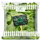 Brotes de espinaca baby Dia Vegecampo 70 g