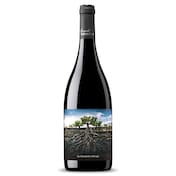 Vino tinto de Ribera del Queiles Garnacha salvaje Moncayo 75 cl