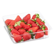 Fresa bandeja 400 g