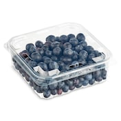 Arándanos 450 g