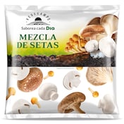 Mezlca de setas Dia Vegecampo 400 g
